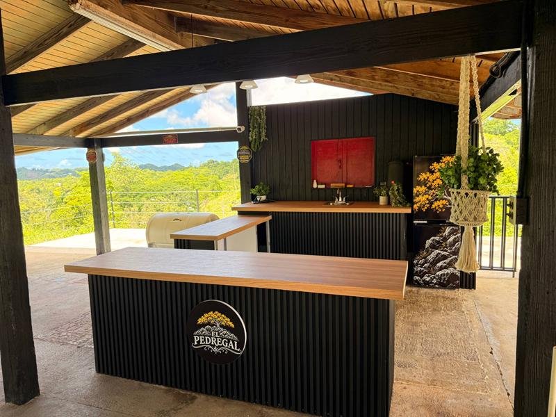 Barra con fregadero, plantas y nevera decorada con el árbol amarillo de El Pedregal